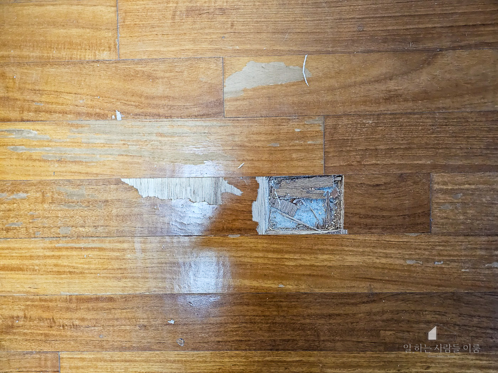 26989eb43d77b47d750f953ff4d6a3dc_1711448754_6847.jpg 26989eb43d77b47d750f953ff4d6a3dc_1711448754_6847.jpg